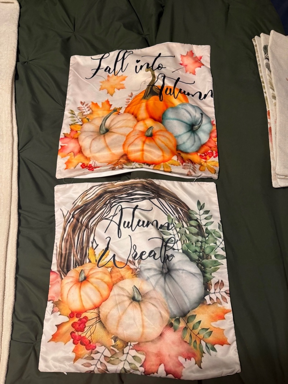 Autumn Pumpkin Decorative Throw Pillow Covers - White Background